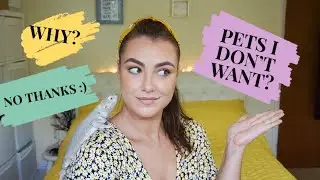 ANIMALS I WOULDN'T OWN | Responsible Pet Ownership