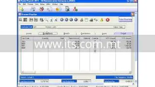 Pastel Payroll - Processing Payslips