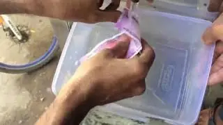 washing new 2000 rs note damaged