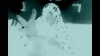 Shanty a Day #203 - The Dreadful Ghost