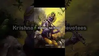 Divine Form of Shri Krishna ❤️#sanatan #krishna #shorts