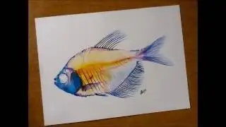 Drawing video #5- Fish skeleton!