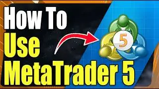 How To Use MetaTrader 5 - The Only Tutorial You'll Need