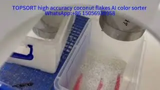 TOPSORT high accuracy coconut flakes AI color sorter