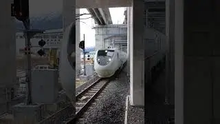(数少ない)681系0番台しらさぎ号W11編成　敦賀駅入線！　 #鉄道 　 #電車
