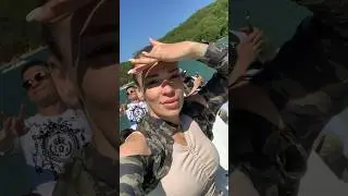 #music #wildlife #геленджик2024 #лето #видео #travel #dance #automobile #car #funny