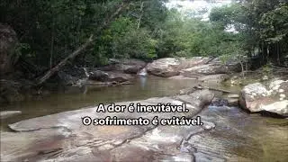 A dor &eacute; inevit&aacute;vel o sofrimento &eacute; evit&aacute;vel