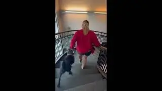 Training on Stairs