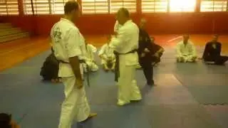 GR&Atilde;O MESTRE PARK SUNG JAE - INTRODUTOR DO HAPKIDO NO BRASIL