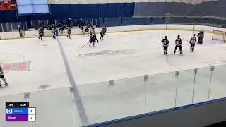 Blues vs Windy City Storm Game 1