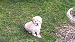 IMGP0821