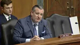 Sen. Ted Cruz Questions Witnesses on Netflix and Warner Bros. Transaction