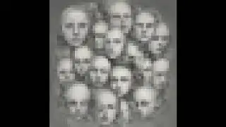 LXai - Internal Faces