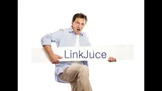 SEO Maui | LinkJuce SEO Digital Marketing Maui (808) 201-0105