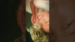 omg