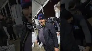 İstanbul balık halinde istavrit satışı