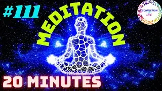 20 Minutes Music Meditation For Beginners To Advance | Depression Control Music #111