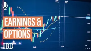 How This Schwab Strategist Uses Options To Handle Earnings Season Volatility  | IBD