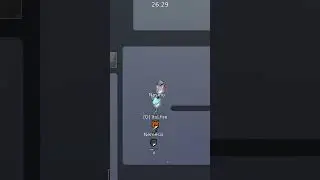 4fly in DDNet ONLY 1% of Players can do this!