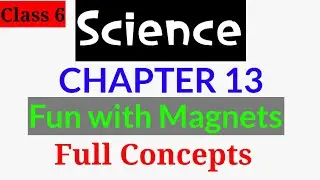 Fun with Magnets | Class 6 | Chapter 13 | Science |