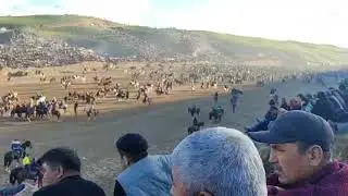 Өзбекстандагы чоң улактан үзүндү көрүп лайктан басып каналга катталып кетиңиздер