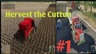 FS19 Contract HArvest the.cutton in the field 8product to spinnery Hervest module Case iH express635