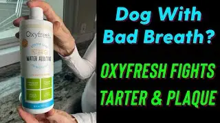 Oxyfresh Fight Dog's Bad Breath! Just add to thier water and it fights tater and plaque!