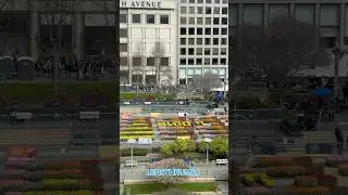 Tulip Day 2025 at San Francisco Union Square | Very Long Line for 80,000 Free Tulips #shorts