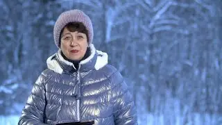 2303. Хлеб на каждый день. Псалом 19:3