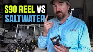 Best Saltwater Spinning Reel Under $90 (3+ Years Tested!)