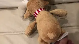 Лось Kinder