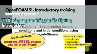 7.1 Module 7 - Basic programming and scripting - codeStream in OpenFOAM #openfoamtraining