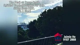 The Peak at Pepys Road. Freehold 5,500 sqft 4 bedrooms near MRT and Hort Park. Unblocked view.