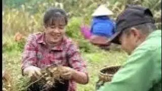 Single mother Tieu Phuong wasdeeply moved when CEO Manhexpressed his feelings for her 