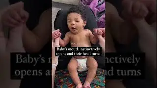 Baby hands: The Babkin