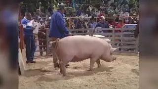 Pennsylvania Farm Show | Back Down The Pennsylvania Road