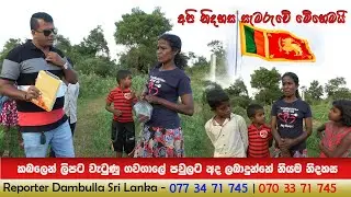 කබලෙන් ලිපට වැටුණු ගවගාලේ පවුලට අද ලබාදුන්නේ නියම නිදහස || REPORTER Dambulla || Kumara Ihalagedara