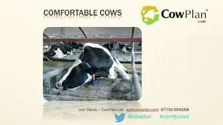 About CowPlan - and photos slideshow
