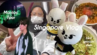 my first stray kids concert experience, meeting my oomf for the first time (maniac singapore vlog)