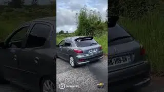 Пежо 206 волк в овечьей шкуре #automobile #пежо #206