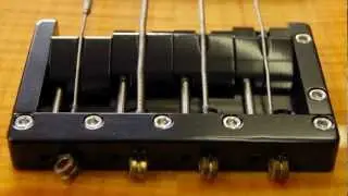 The KSM Foundation Bass Bridge goes to Florida