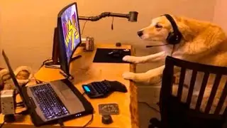 РАНДОМНЫЙ СТРИМ #mozgoprav6 #Ghosty6 #msg
