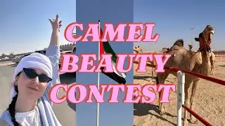 Why This Camel Beauty Contest is a Must-See 🔥😍📸