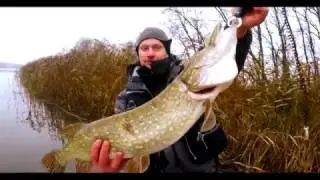Yamaga Blanks Blue current 77/tz Nano VS  4.5kg Pike