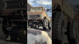 Dexter the Mog that could. Wheels and Body kit by WTMICRO