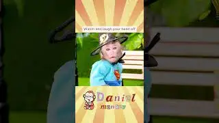 Watch till the end to see why this monkey&rsquo;s laughing like a little villain 😈🐒😂 #monkey