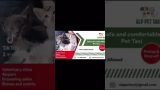 Pet taxi