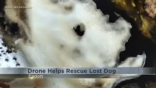'It just felt good to get him back'; Drone helps rescue dog trapped on ice near Lake Wissota