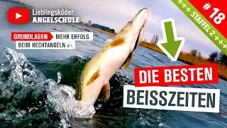 Das BESTE Wetter zum HECHTANGELN im Winter 🎣 🥳 👍 (Staffel 2, Folge 18)