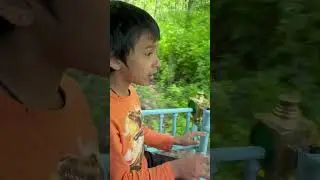 6 year old Rishi singing Ram Sam Sam in Turtle back zoo- 2025 summer